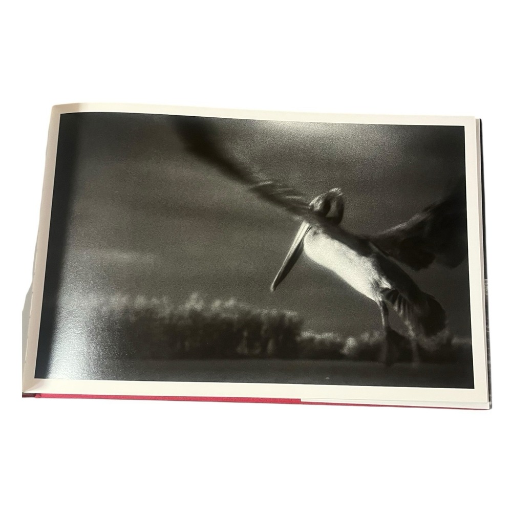 Wild Birds of the American Wetlands B&W Photo Coffee‎ Table Book Rosalie Winard - Picture 6 of 10